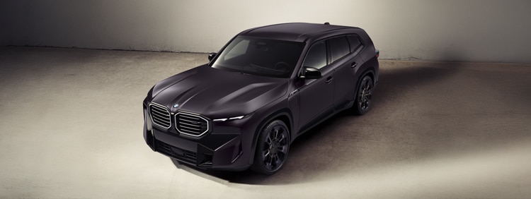 A high angle shot of the BMX XM by Kith in frozen techno violet